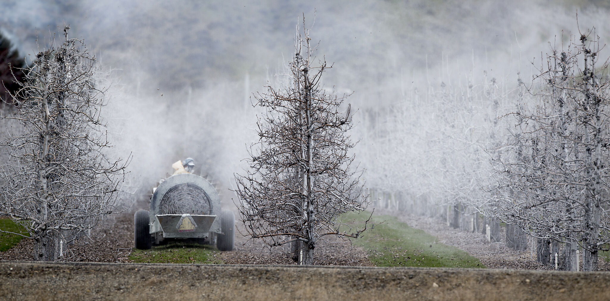 210327-newslocal-spraying 03.jpg